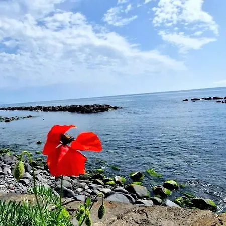 Onde Dell'etna 12 Riposto
